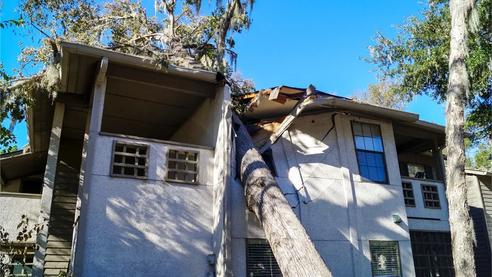 A fallen tree resting against the roof and wall of a damaged home