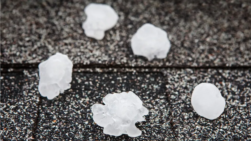 Hailstones resting on an asphalt shingle roof