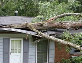 Storm Damage - Emergency Roof Repairs Photo 20