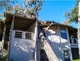 Storm Damage - Emergency Roof Repairs Photo 95