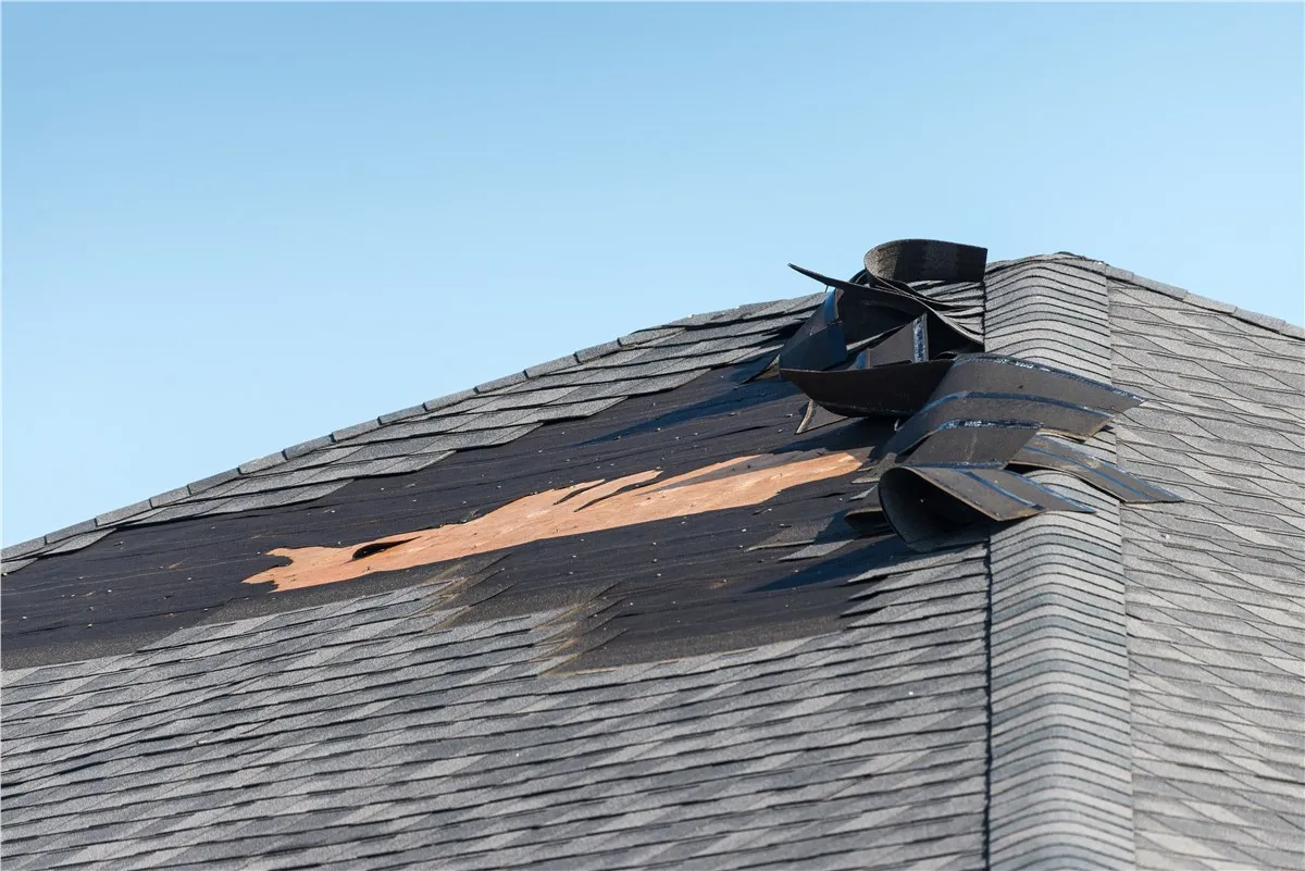 Storm Damage Photo 83