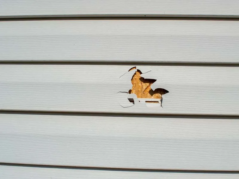 Siding Repair