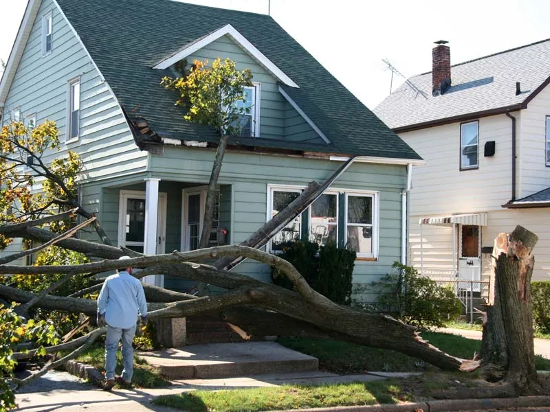 Insurance Claims