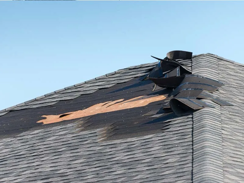 Hurricane Damage