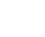 20+ Years of Experience